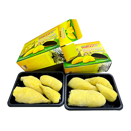 Frozen Monthong Durian Pulp
